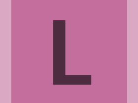 pinboard-workcard-#c46e9d-alphanumeric/lato-dark/L.png-255,255,255,0.7.png (210×280 px, 976 B)